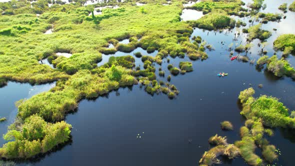 people kayaking in the wetlands The abundance of various plants.