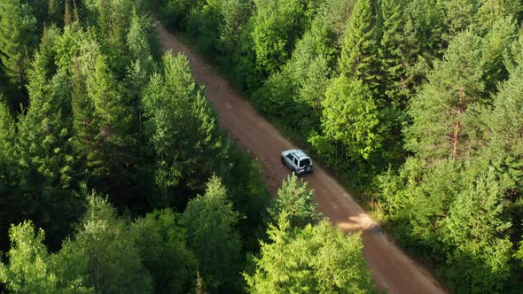 Aerial View of a Car in the Forest