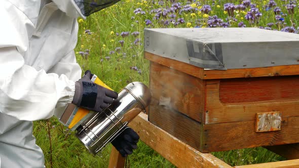 Beekeeper using bee smoker