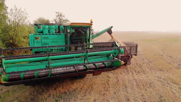 The Harvester Loads the Harvested Grain Into a Truck Trailer