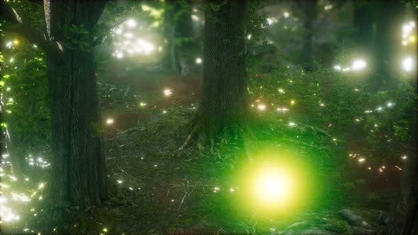Firefly Flying in the Forest alt