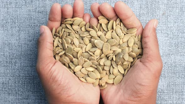 Pumpkin Seeds on Hand Top View