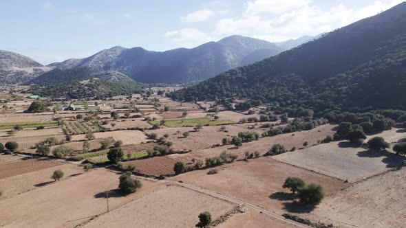 Aerial drone view of the sheep, cattle grazing on farm pasture in the Greek valley