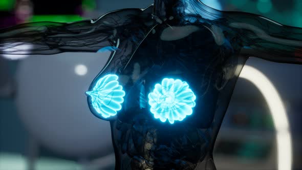 Medical Scan of Woman Breast alt