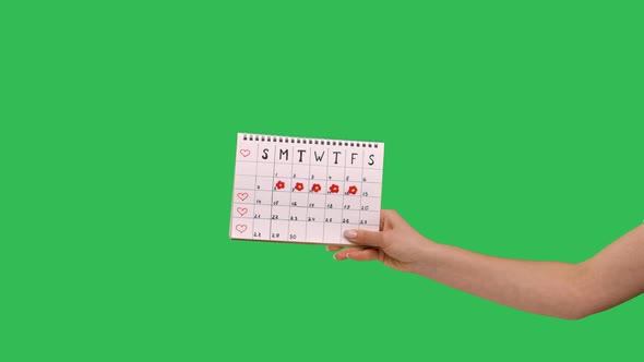 Female Hand Hold Woman Periods Calendar for Checking Menstruation Days Isolated Over Green Screen
