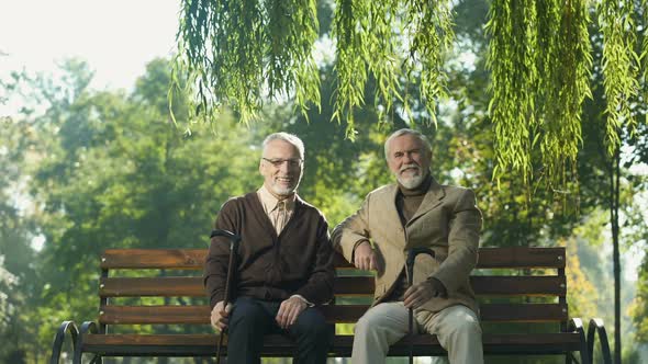 Two Smiling Senior Men With Canes Raised Up, Happy Life in Old Age, Retirement