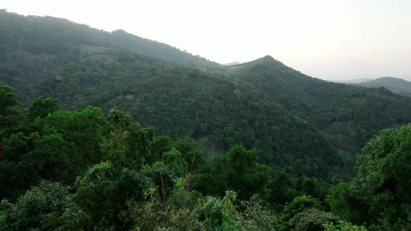 Aerial view natural landscape tropical forest jungle in Ko Samui, Thailand