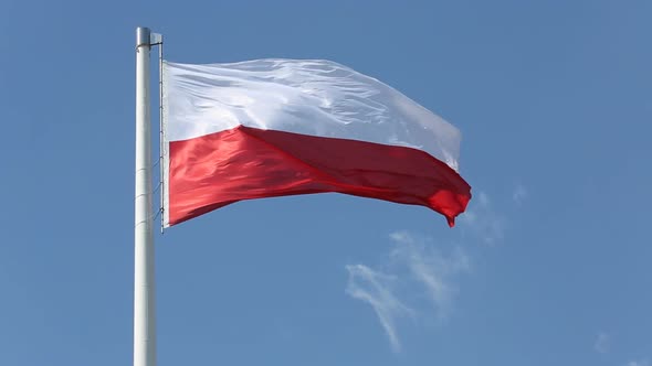 Polish Flag in the Wind