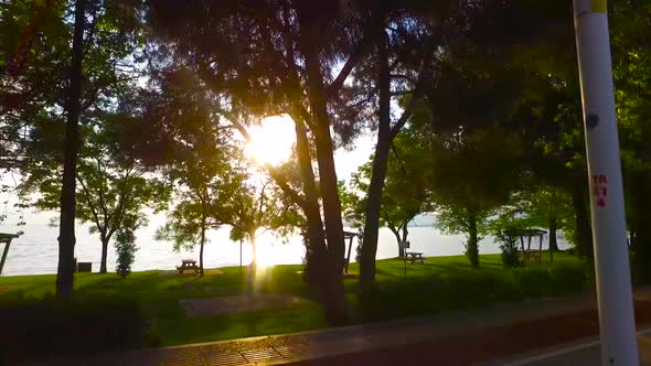 Sea coastal road at sunset.