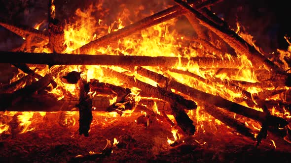 Big Bonfire of the Branches Burn at Night in the Forest. Slow Motion