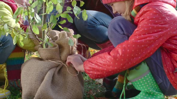 Family Preparing Sapling for Planting