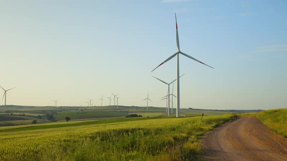 Windmill farm in the field. Alternative green energy concept