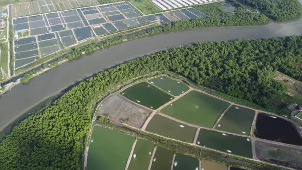 Aerial view fish farm beside mangrove trees