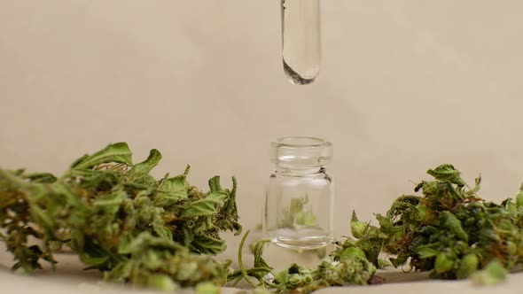 Cbd Oil Drops of Medicinal Marijuana Extract