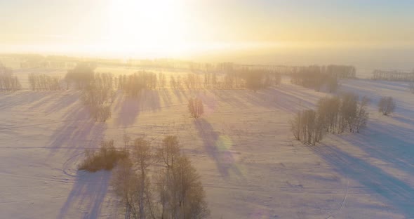 Aerial Drone View of Cold Winter Landscape with Arctic Field Trees Covered with Frost Snow and