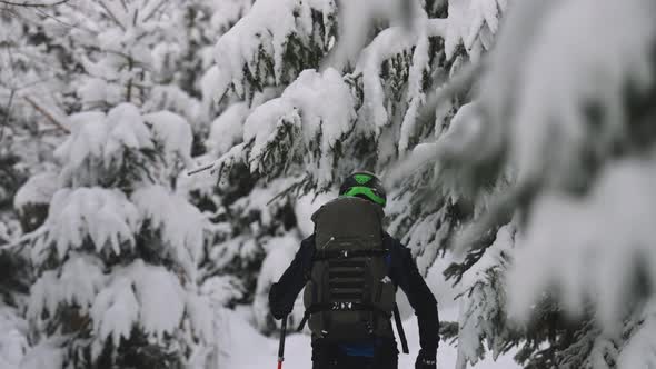 Man Ski Touring Through Snow Covered Forest