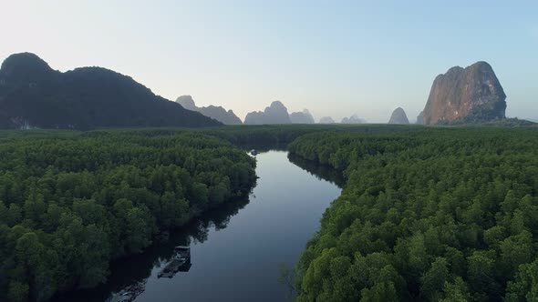 Amazing abundant mangrove forest Aerial view of forest trees Rainforest ecosystem