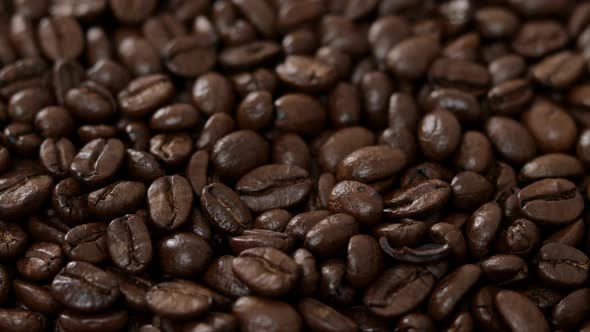 Coffee bean close up