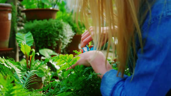 Beautiful woman pruning a plant with pruning shears