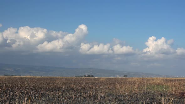 Burned Reed Beds Plain