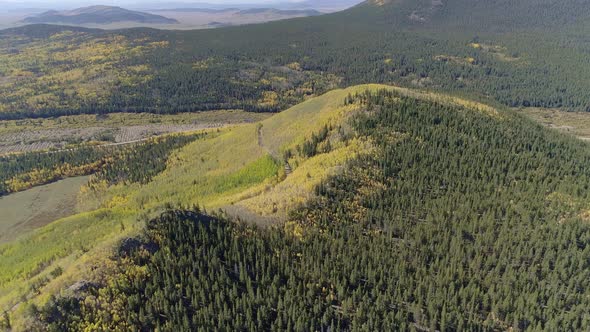 Fall foliage at Boreas Pass, CO