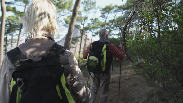 Active senior couple walking on mountains