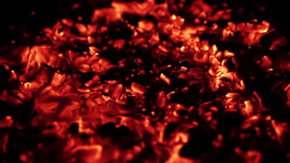 Burning Coal, Close Up of Red Hot Coals Glowed in Bonfire
