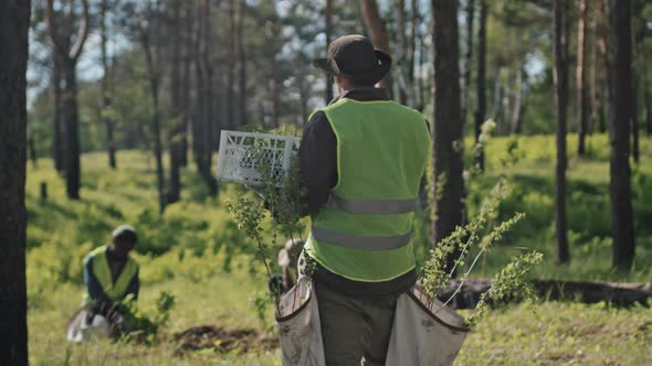 Delivering Seedlings to Gardeners