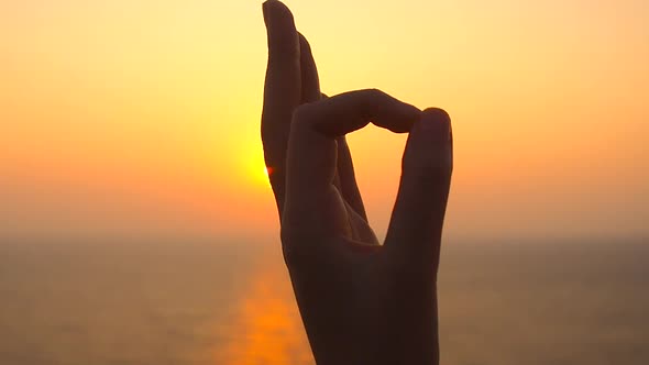 Sunset Meditating at Tea Plantation