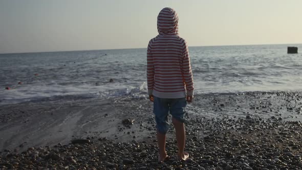 Rear View of a Boy Standing on a Pebble Beach and Looking Far in the Distance