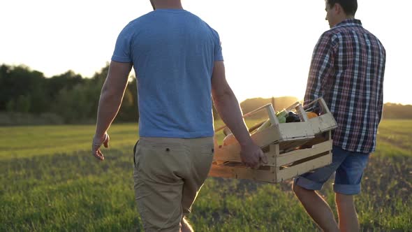 Two Farmers Keep Boxes of Organic Vegetables