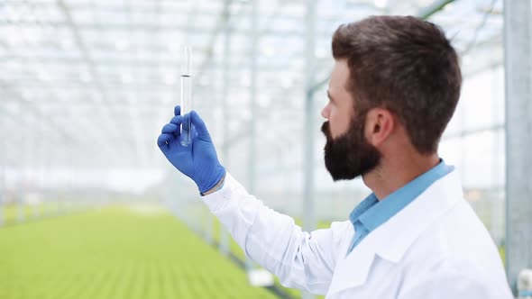 Researcher Takes Water in a Test Tube Standing in a Greenhouse. Agricultural Engineer