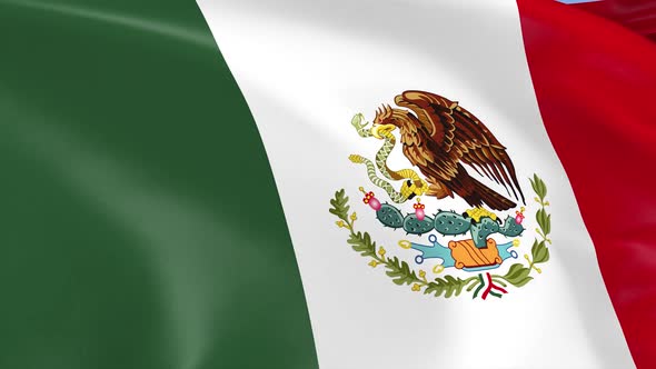 Mexico Flag