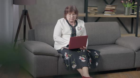 Wide Shot Portrait of Confident Busy Senior Woman Typing on Laptop Keyboard Thinking