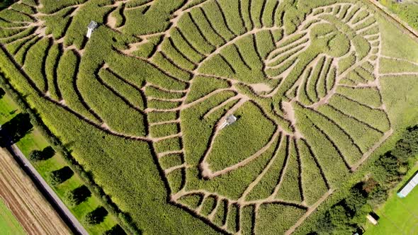 Aerial footage of the fields and country side of the famous York Maze in the UK