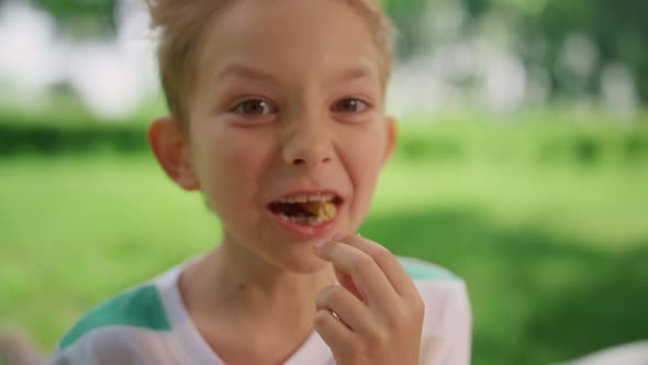 Cute Boy Grimacing on Camera on Picnic Close Up