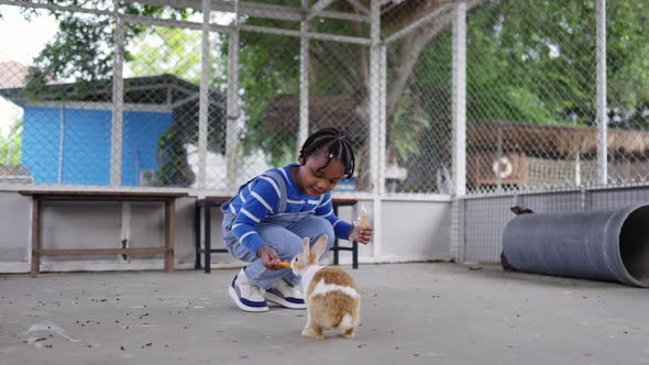 4K Little African boy feeding carrot to the rabbit in the park.