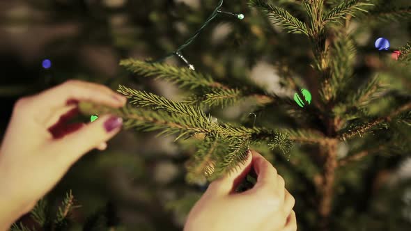 Decorating on Christmas Tree.