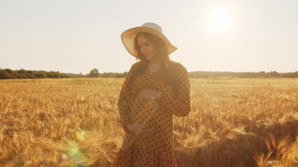 Pregnant woman in the rays of the sunset in the field