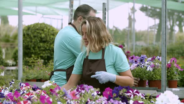 Couple of Happy Florists Selecting Potted Plants for Sale