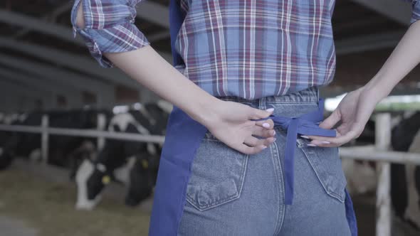 Unrecognizable Young Female Worker on the Cow Farm Tying an Apron Before Getting To Work