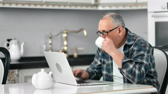 Confident Aging Grayhaired Person Concentrate Looking at Screen of Computer Writing Text