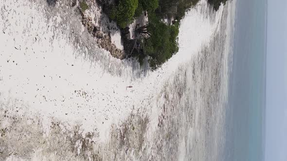 Zanzibar Tanzania  Vertical Video of Low Tide in the Ocean Near the Coast Slow Motion