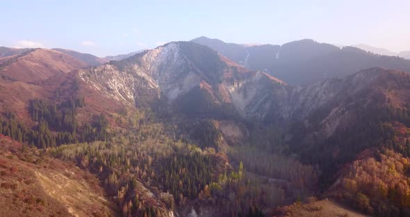 Autumn Mountain Forest