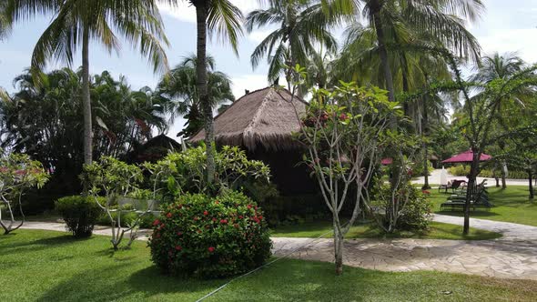 Drone flying towards coconut tree and passing through garden in Penang