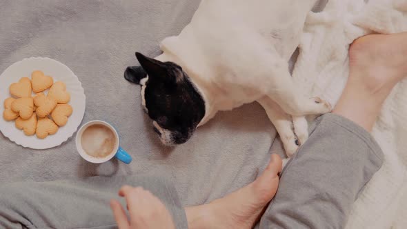 Close Up Man with French Bulldog in the Evening Cozy Home