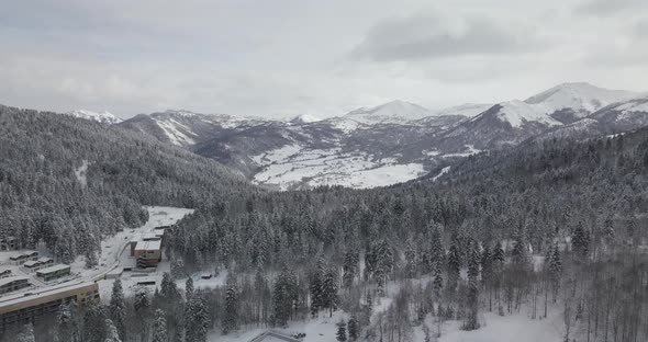 Aerial view of snowy mountains and forest