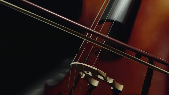 White Woman Playing Cello Closeup of Hands