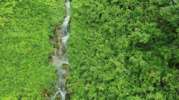 Mountain Small Stream That Flows Down From the Mountains Among the Green Food. Top View of a