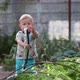 Little boy holds a hose in his hands, plays with water and watered the garden - VideoHive Item for Sale